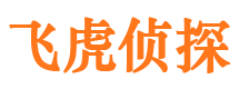 原阳寻人公司